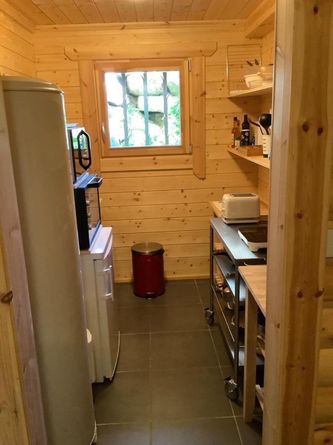 Chalet Les Sorbiers Egat المظهر الخارجي الصورة